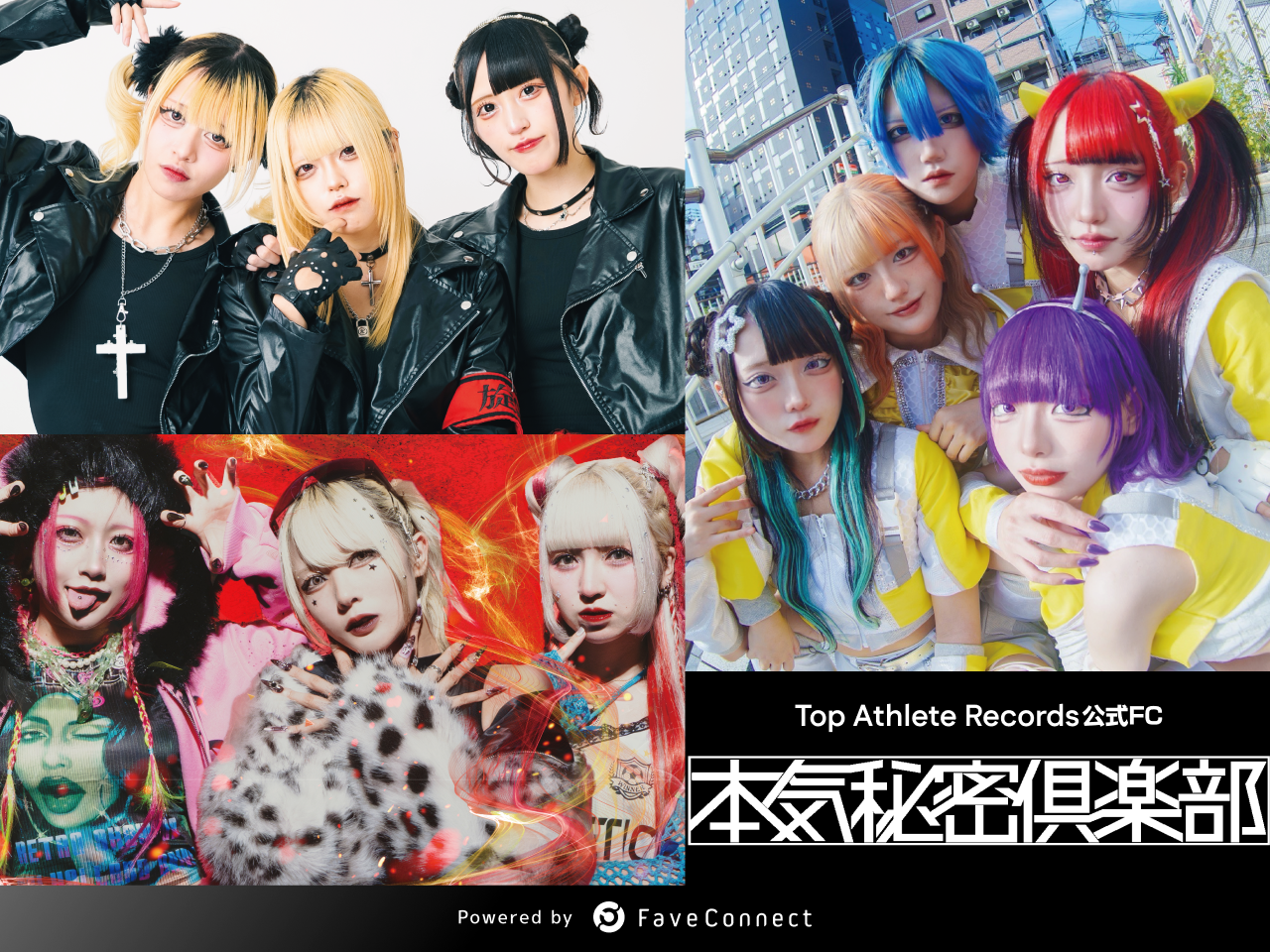 アイドルグループ「MAGMAZ」「CYCLONISTA」「ELEVYZ」の、合同ファン